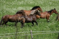 /album/prostor-a-pohyb/snimek-283-jpg/